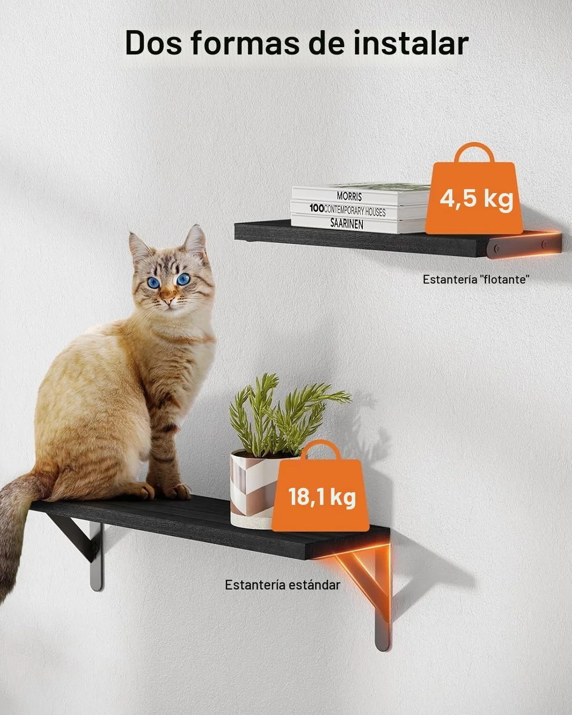 Pipishell Juego de 6 estantes flotantes de madera para pared rústicos