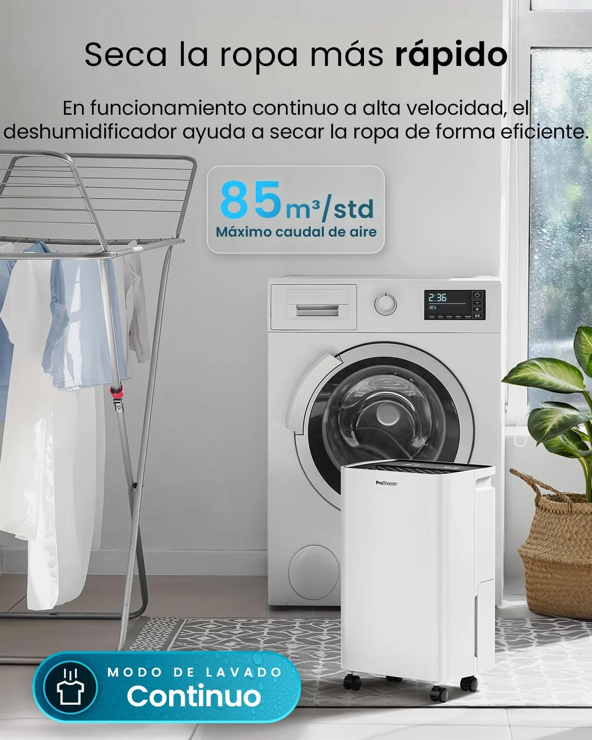 Pro Breeze Deshumidificador con Compresor 12L, Depósito 2L, Sensor Humedad, Temporizador 24H, 20m²