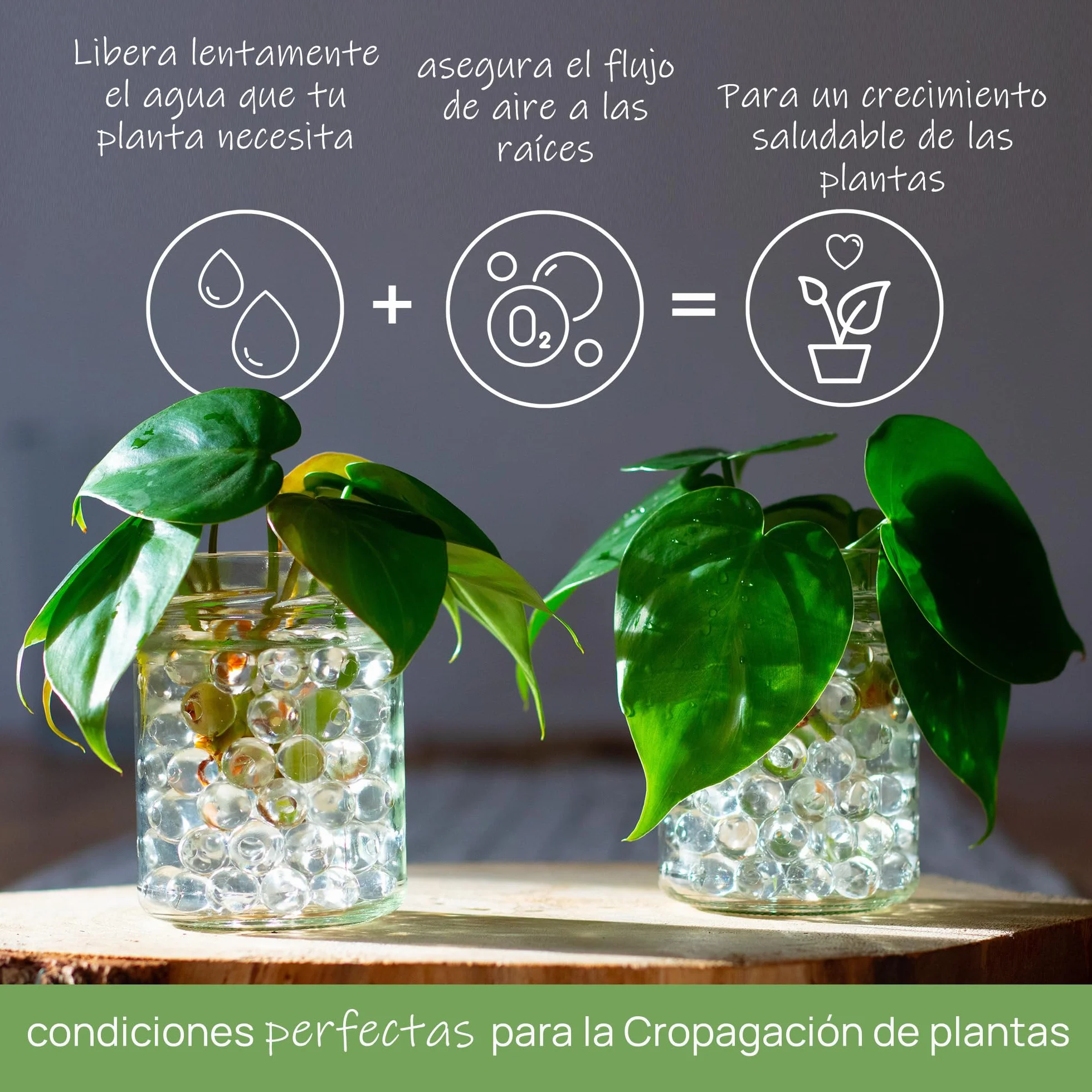 Perlas de Agua Transparentes 10 000 Bolas de Gel para Plantas y Jarrones No Tóxicas Biodegradables