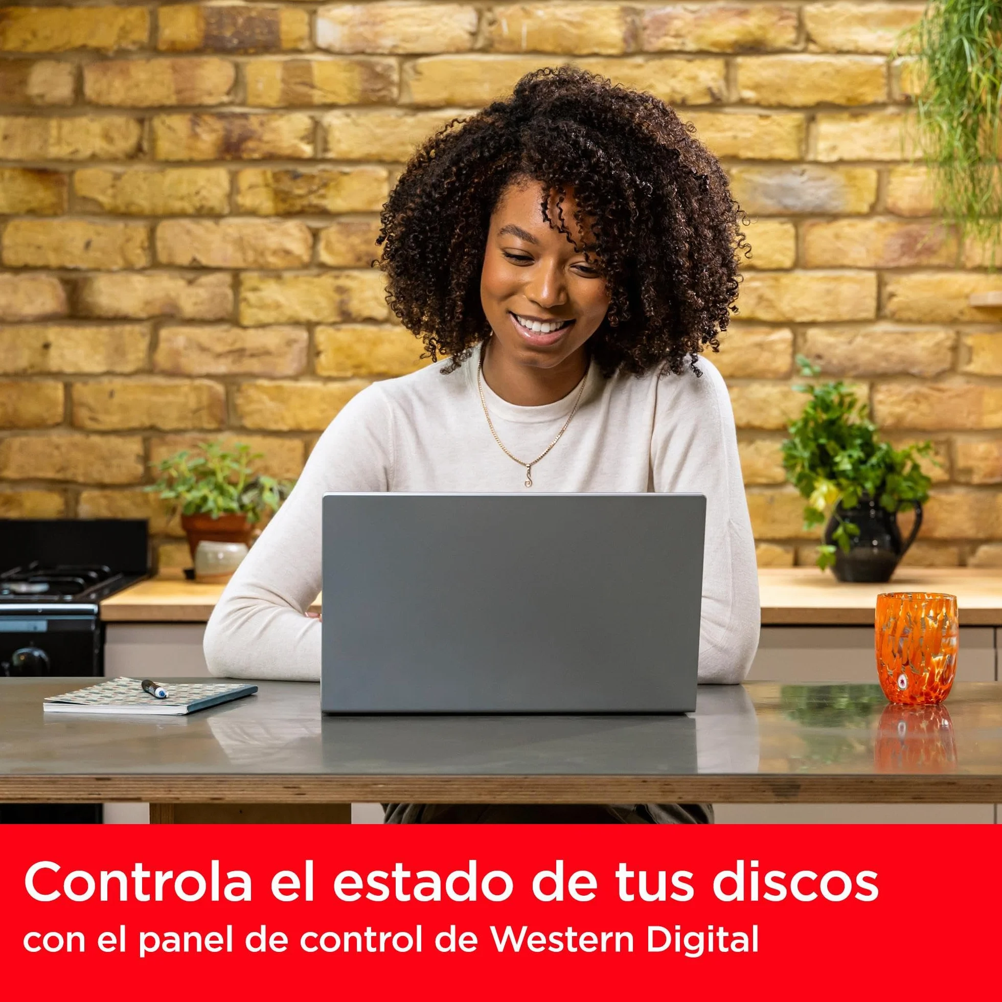 SanDisk SSD Plus 1TB M.2 2280 PCIe Gen3 NVMe SSD 3200 MB/s