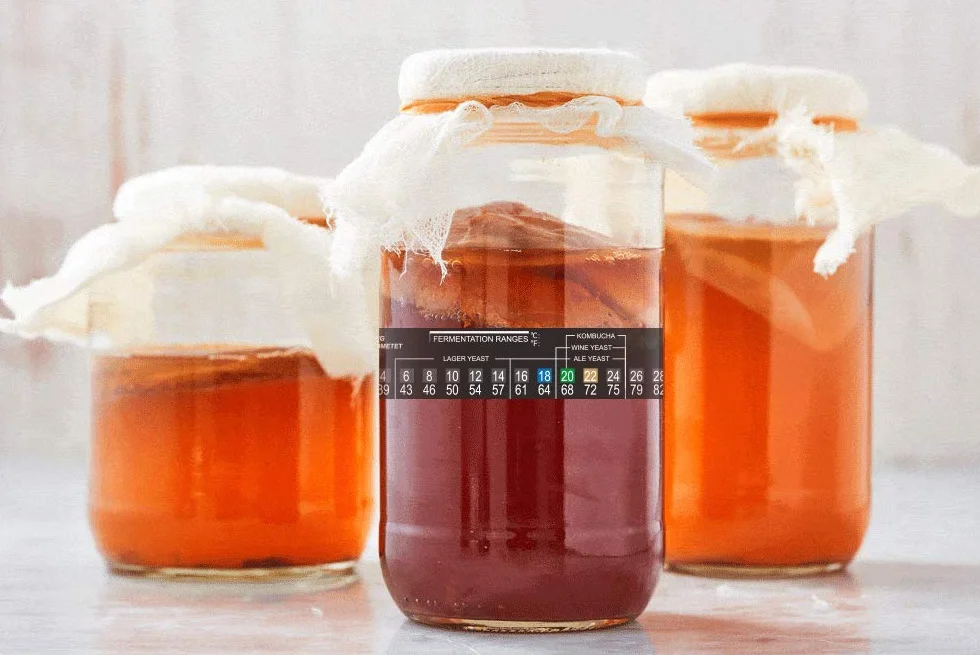 Termómetro para cerveza casera 2-36°C Vino