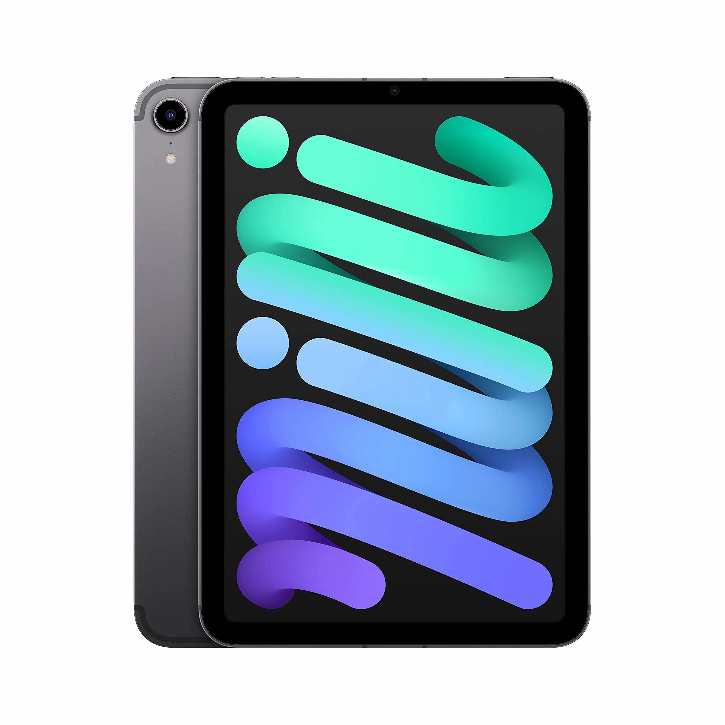 2021 Apple iPad Mini (8,3-pulgadas, Wi-Fi + Celular, 64GB) - Gris Espacial (Reacondicionado)
