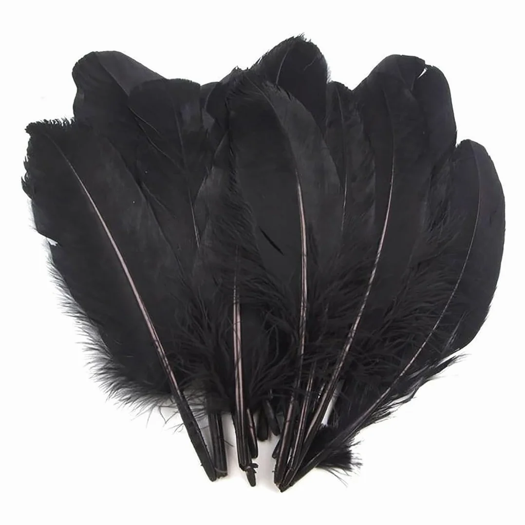 MOLIMOLI Plumas negras naturales 120 unidades para manualidades decoración atrapasueños