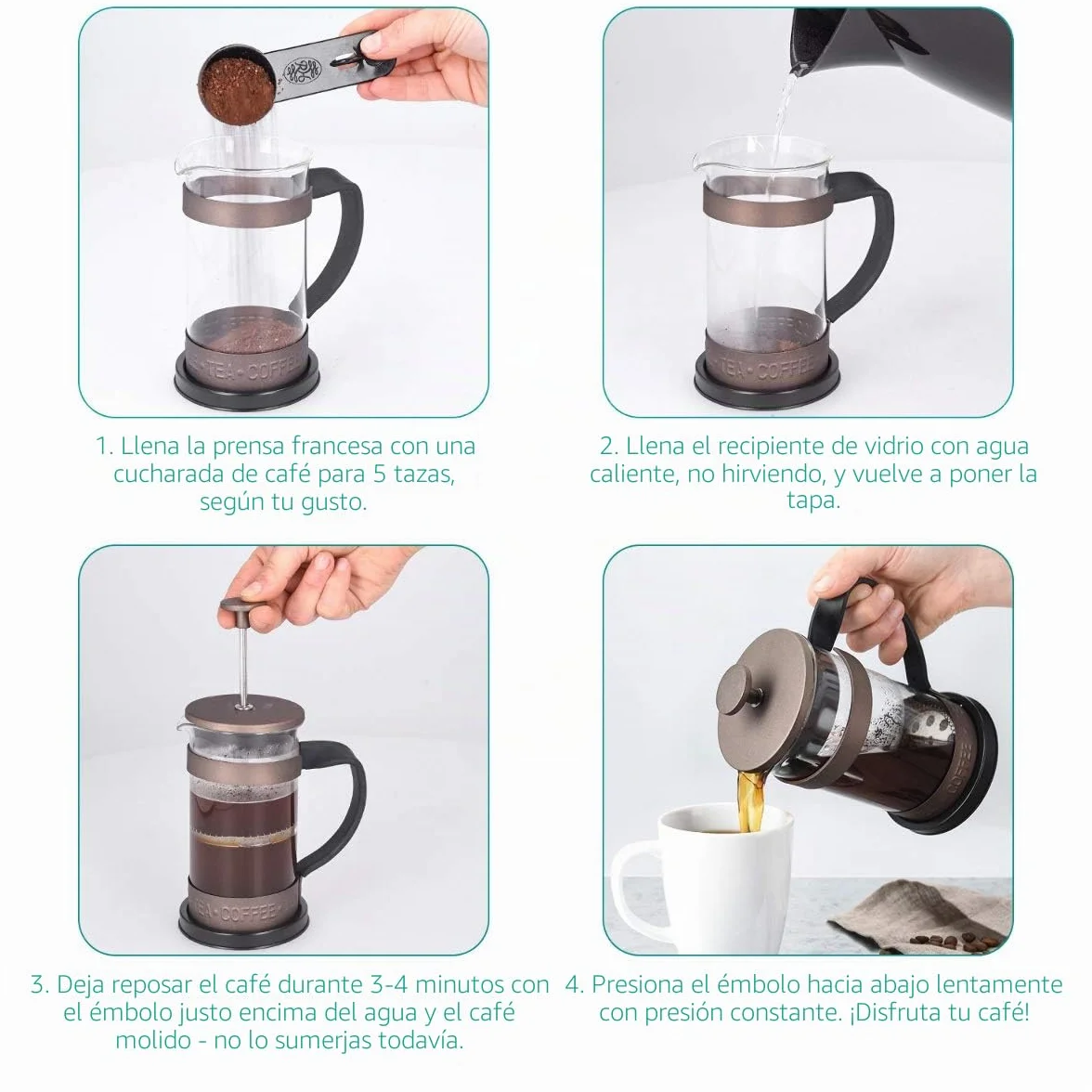 Cafetera Francesa de Acero Inoxidable 350ML Navaris - Cafetera de émbolo 3 Tazas con Jarra de Vidrio