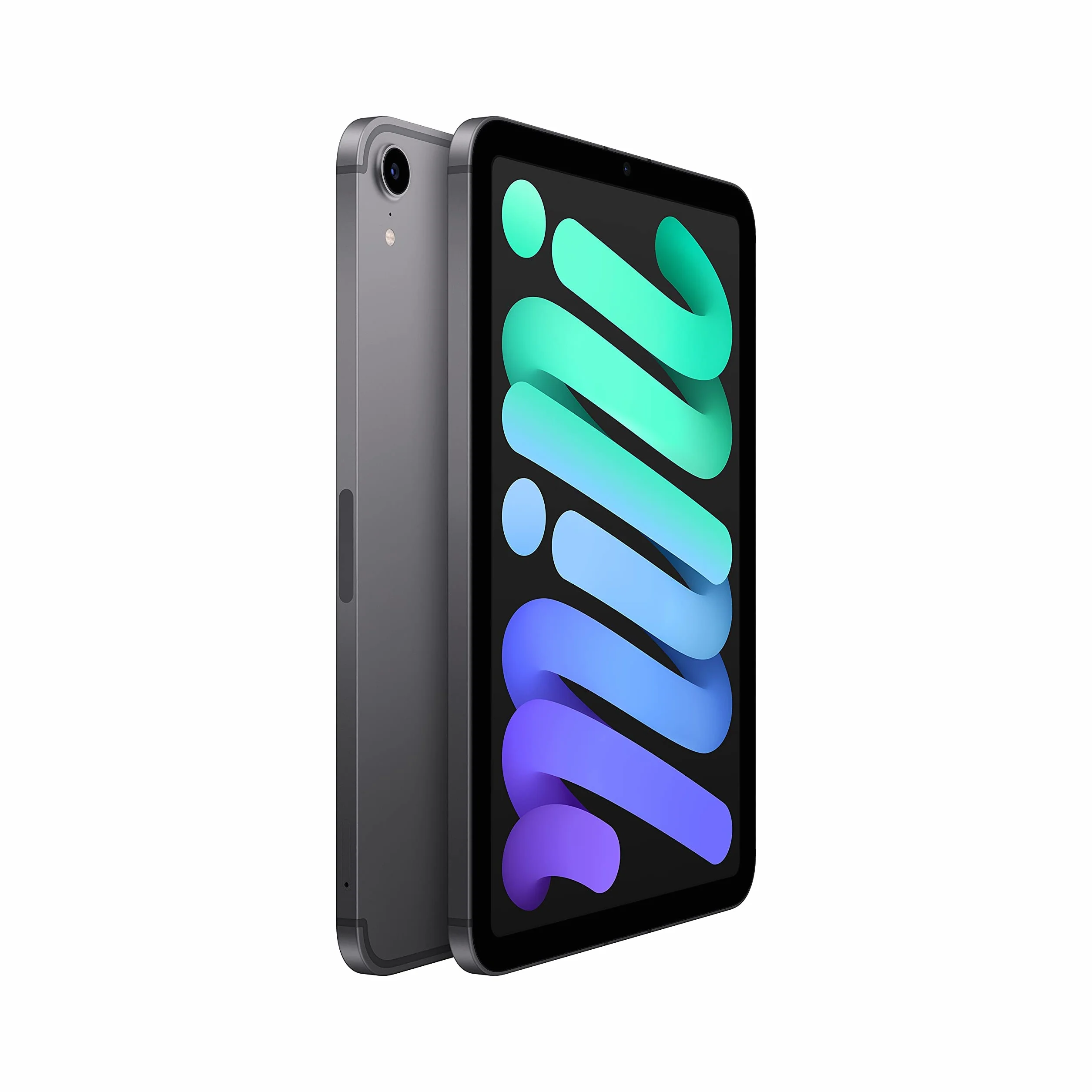 2021 Apple iPad Mini (8,3-pulgadas, Wi-Fi + Celular, 64GB) - Gris Espacial (Reacondicionado)