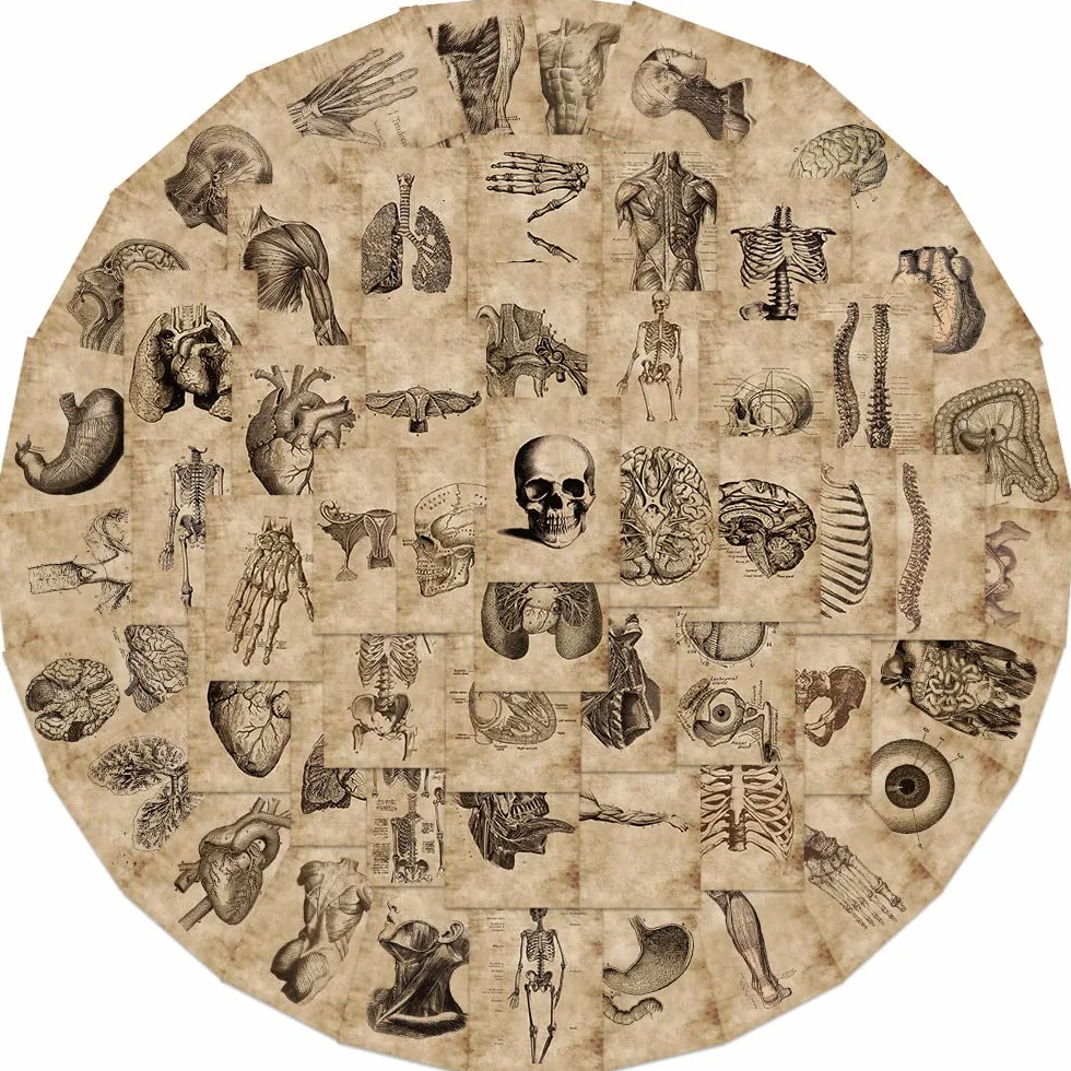 Juego de 50 pegatinas de esqueleto, diseño de esqueleto, para coche, ordenador portátil, monopatín, bicicleta, moto, bicicleta, ordenador, adultos, niños