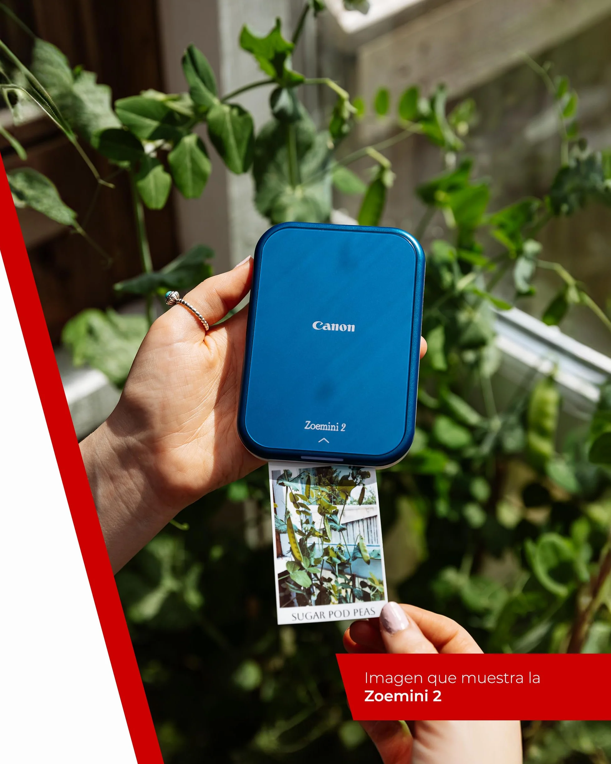 Canon Kit Zoemini 2 Impresora fotográfica + Papel fotográfico Zink 20 Piezas + Papel ZP-2030 (20 Hojas) + 10 Pegatinas Circulares (para Smartphone, USB C, Bluetooth, impresión móvil) Azul Marino