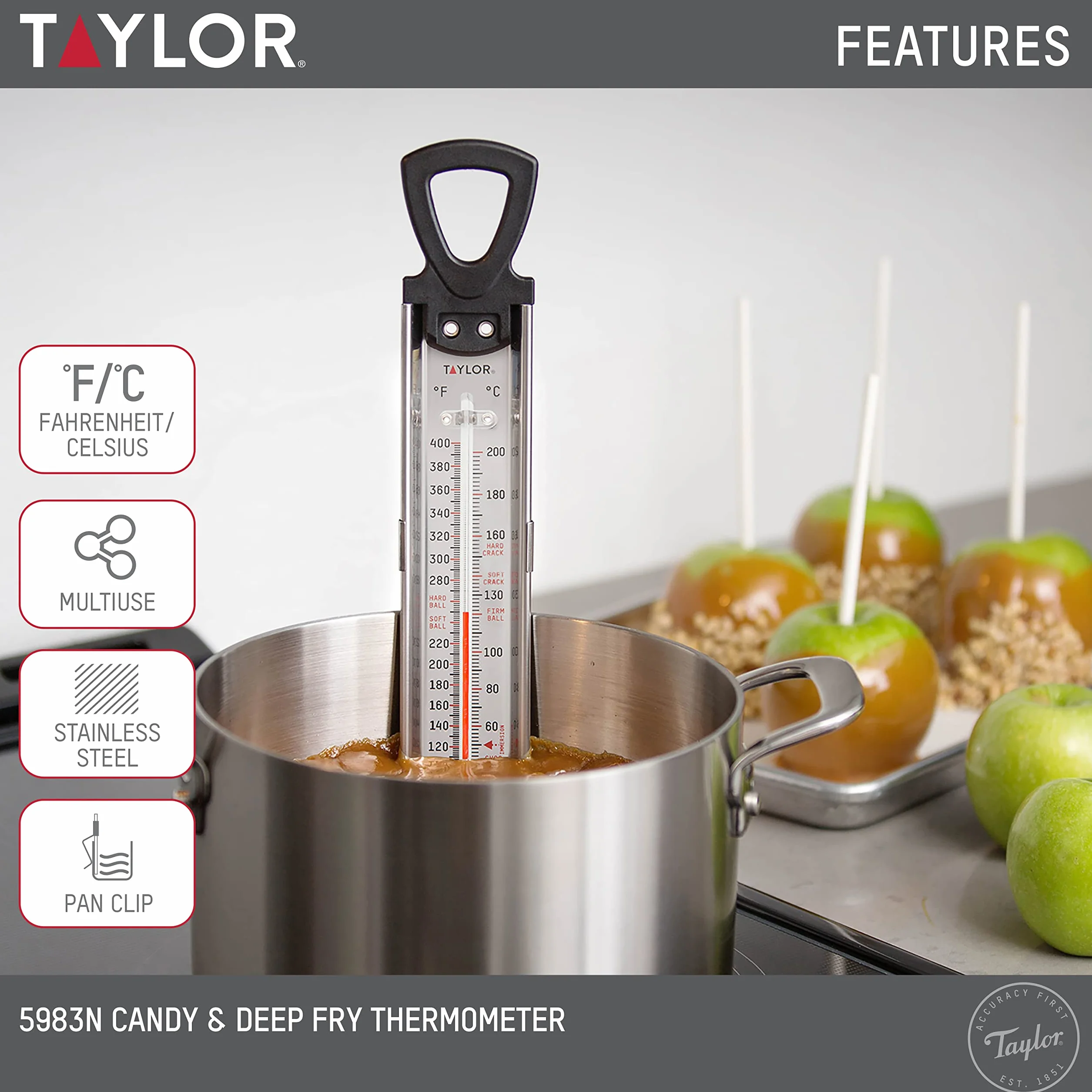 Taylor Precision Products Termómetro de acero inoxidable para freír
