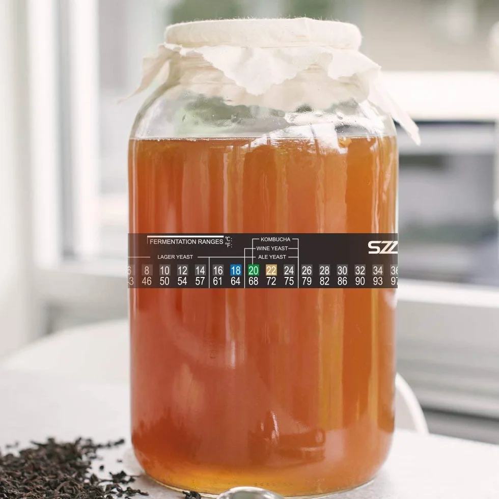 Termómetro para cerveza casera 2-36°C Vino
