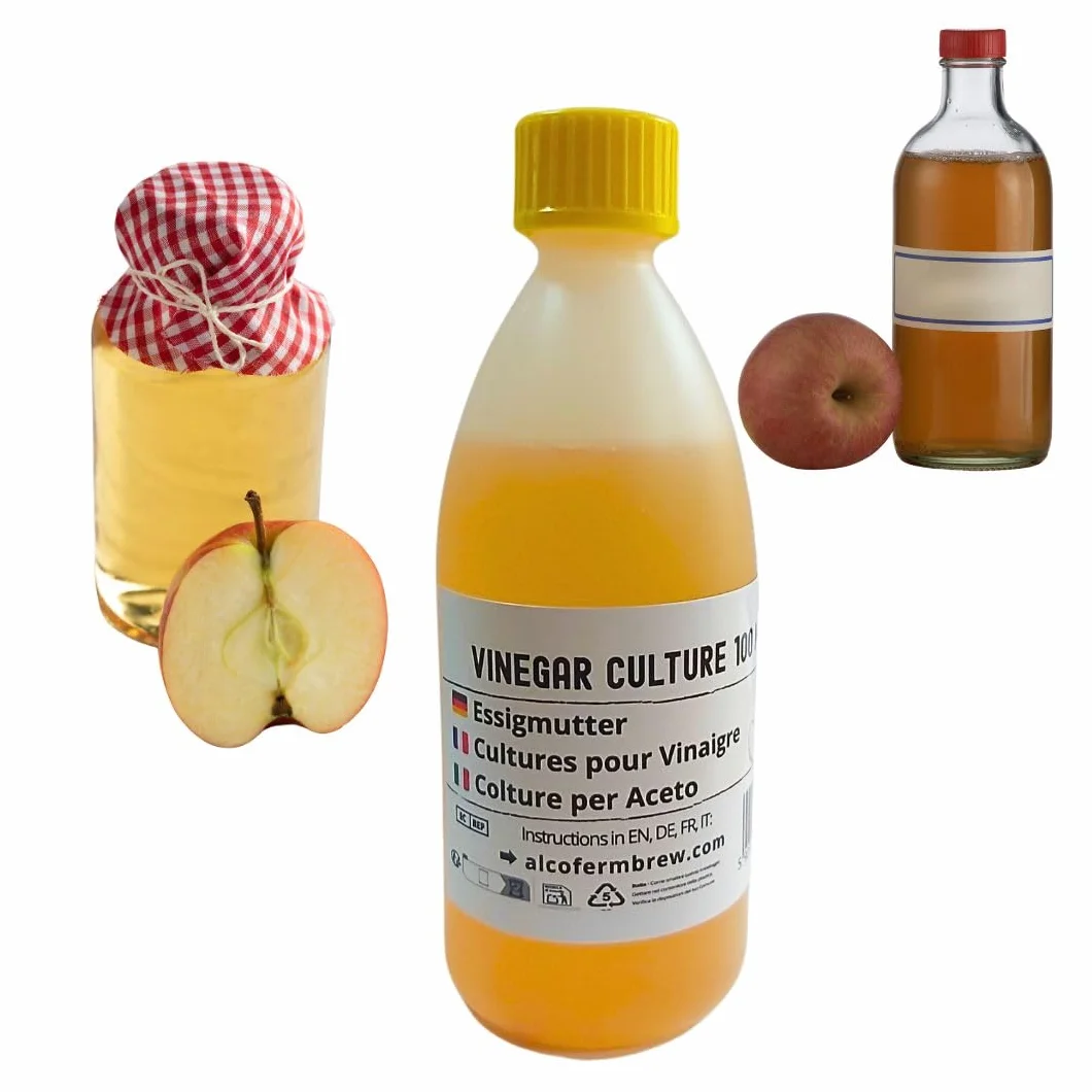 Madre de Vinagre 100 ml | Acetobacter Starter para Fermentación de Vinagre Casero