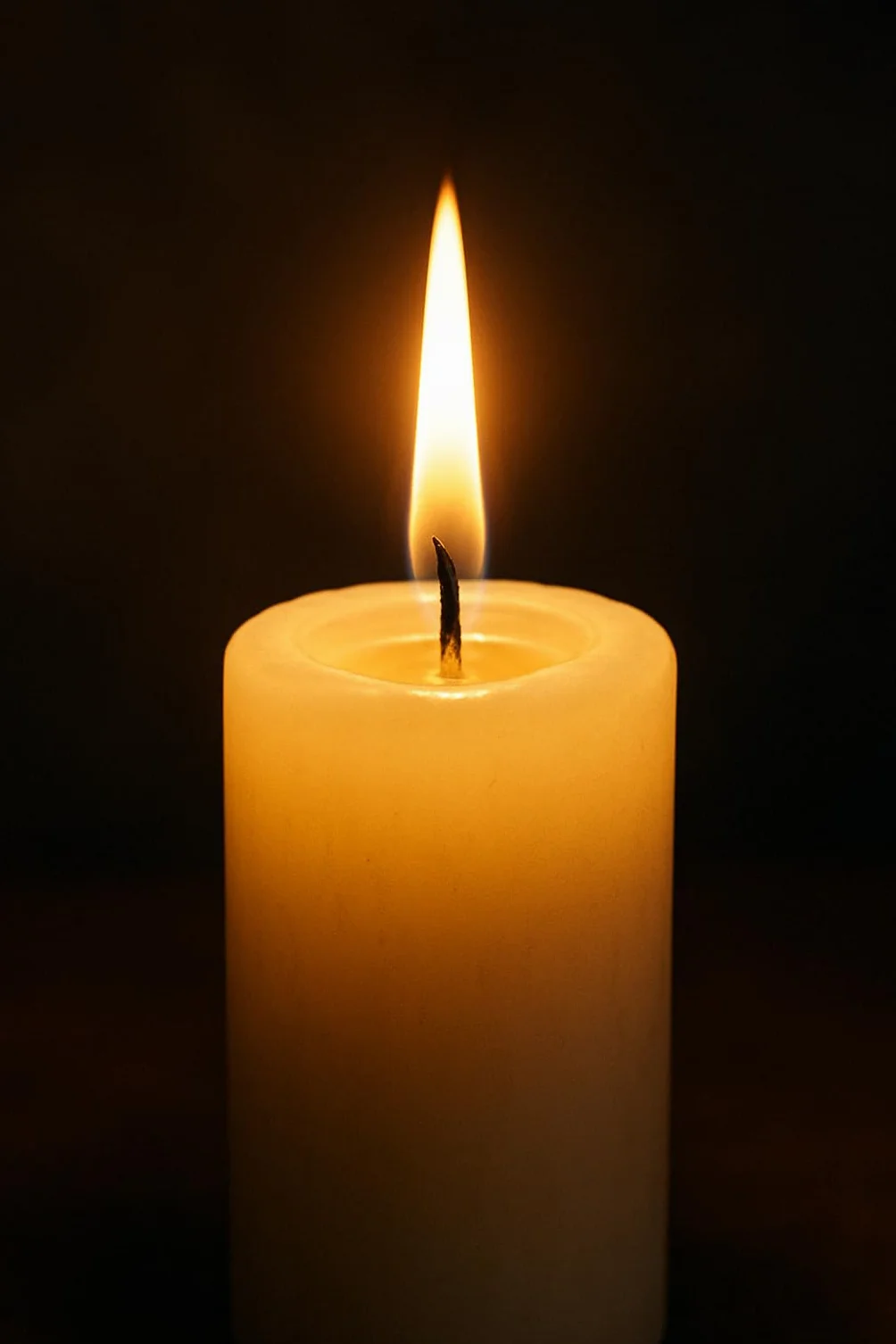 Nordring 8 velas cónicas 2,2 x 18 cm malva