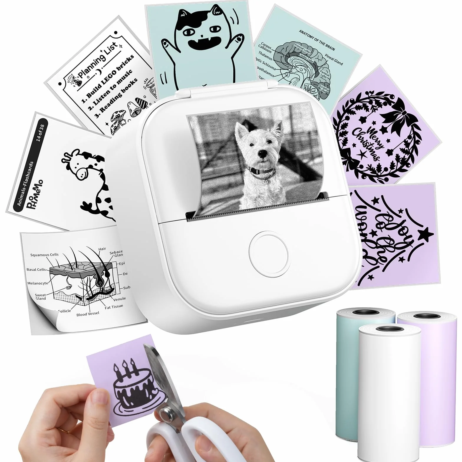 Phomemo Impresora Termica, T02 Impresora Fotos Movil, Impresora Portátil para iOS y Android, Mini Impresora para Movil sin Tinta,Mini Printer 203dpi Blanco y Negro,Impresora Bluetooth para niños