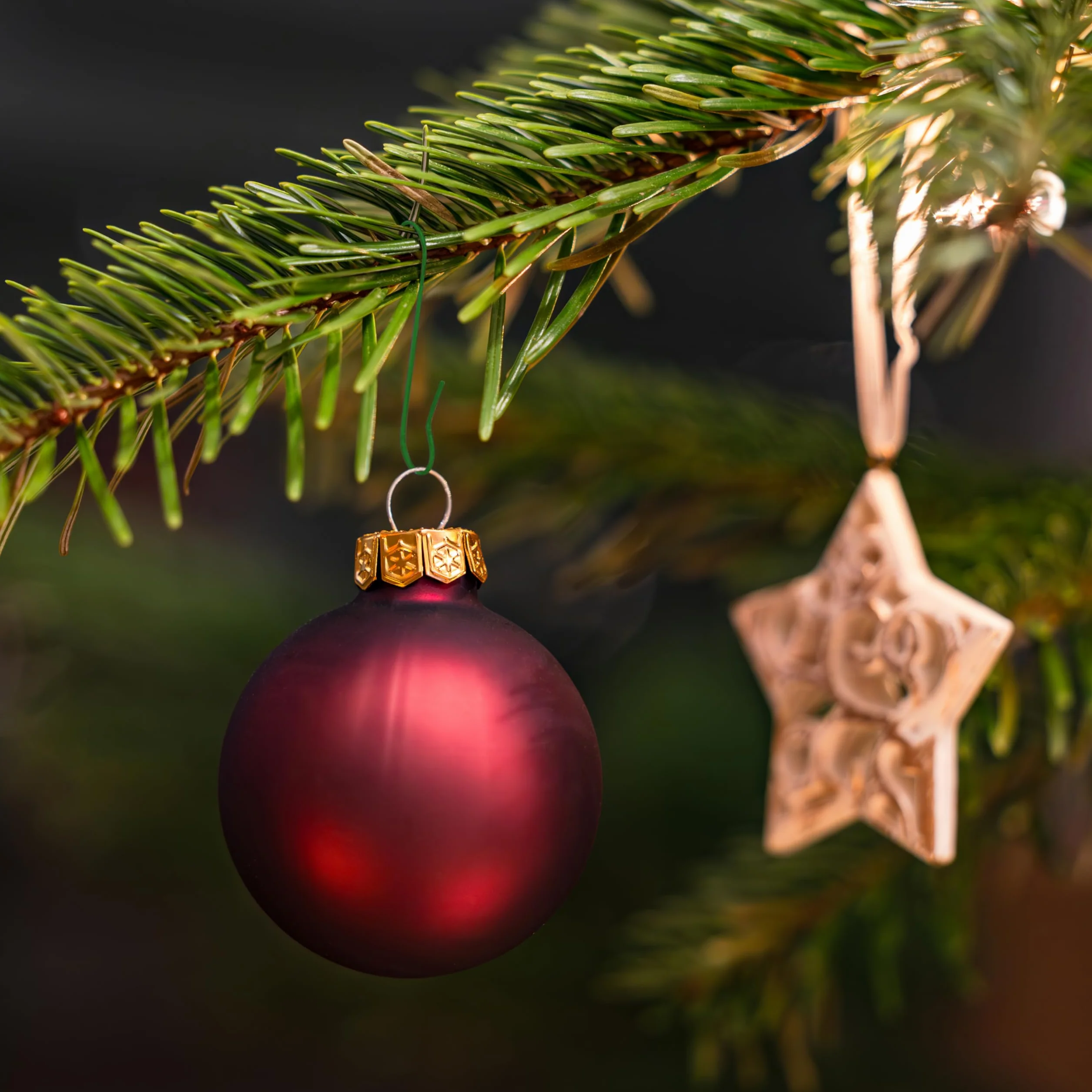 Nordstern ganchos para árbol de Navidad colgadores de montaje rápido 150 piezas 3,3 cm Verde