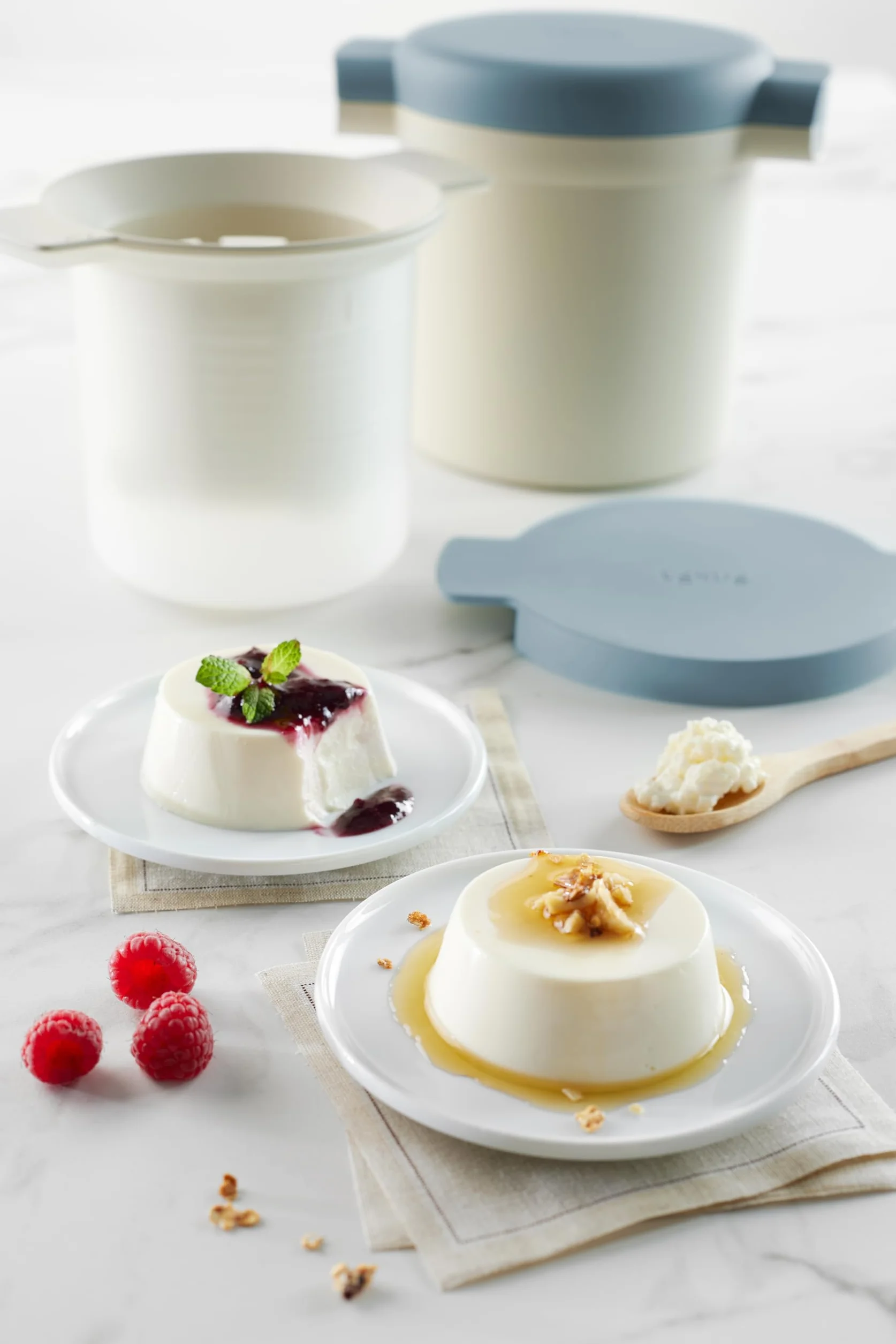 Lékué Utensilio para hacer Yogurt y Kéfir casero