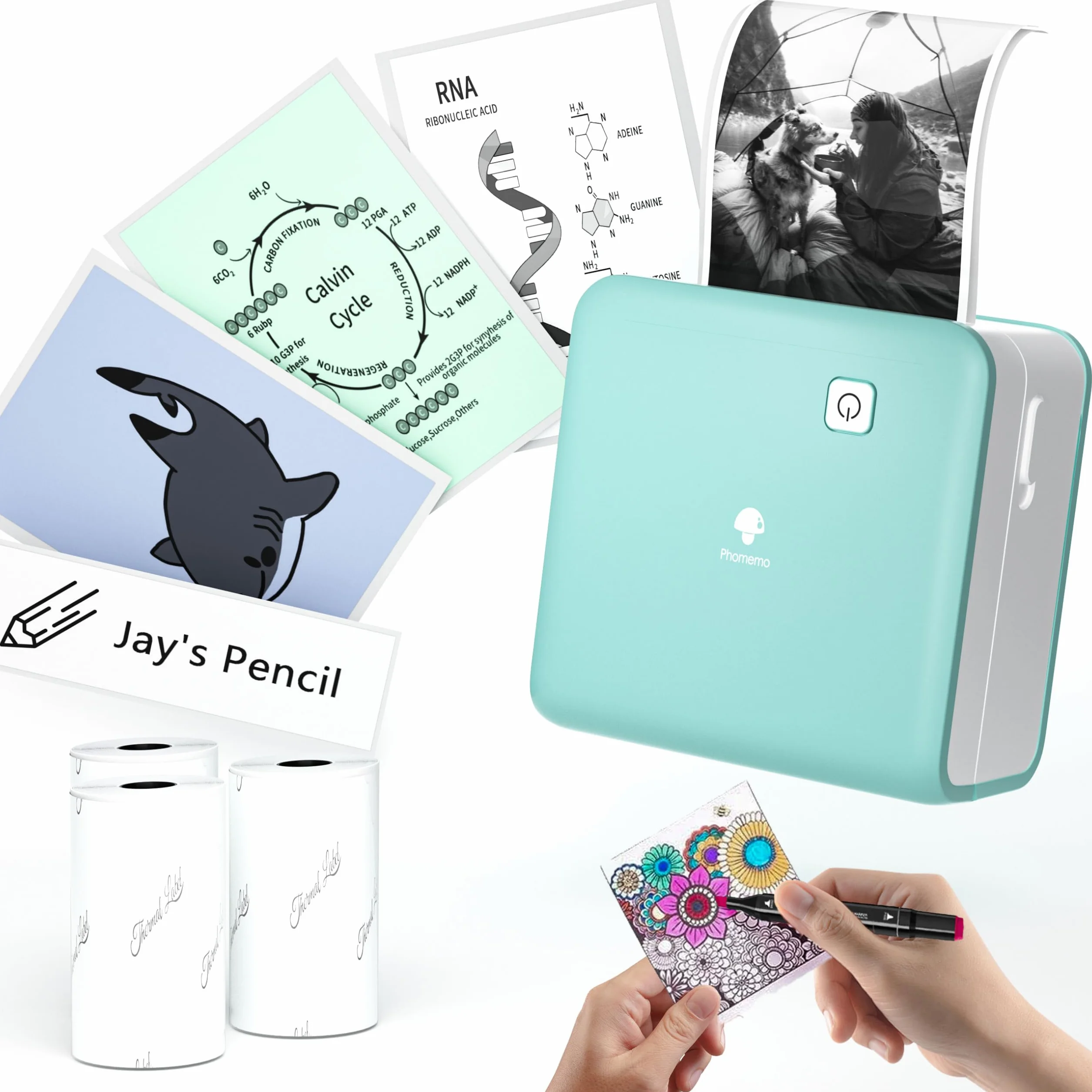 Phomemo M02 Pro Mini Impresora Termica - 300DPI Impresora Pegatinas Autoadhesivas Impresora Movil Pequeña Impresora Fotos Bluetooth, Adecuado para Notas de Estudio, Fotos, Regalos para Niños y Niñas