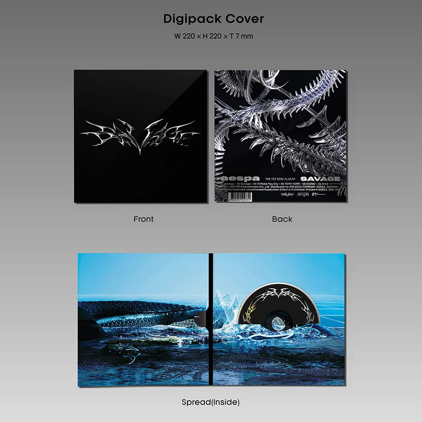 AESPA 1ST MINI ALBUM SAVAGE SYNK DIVE Ver. Photobook CD-R Poster