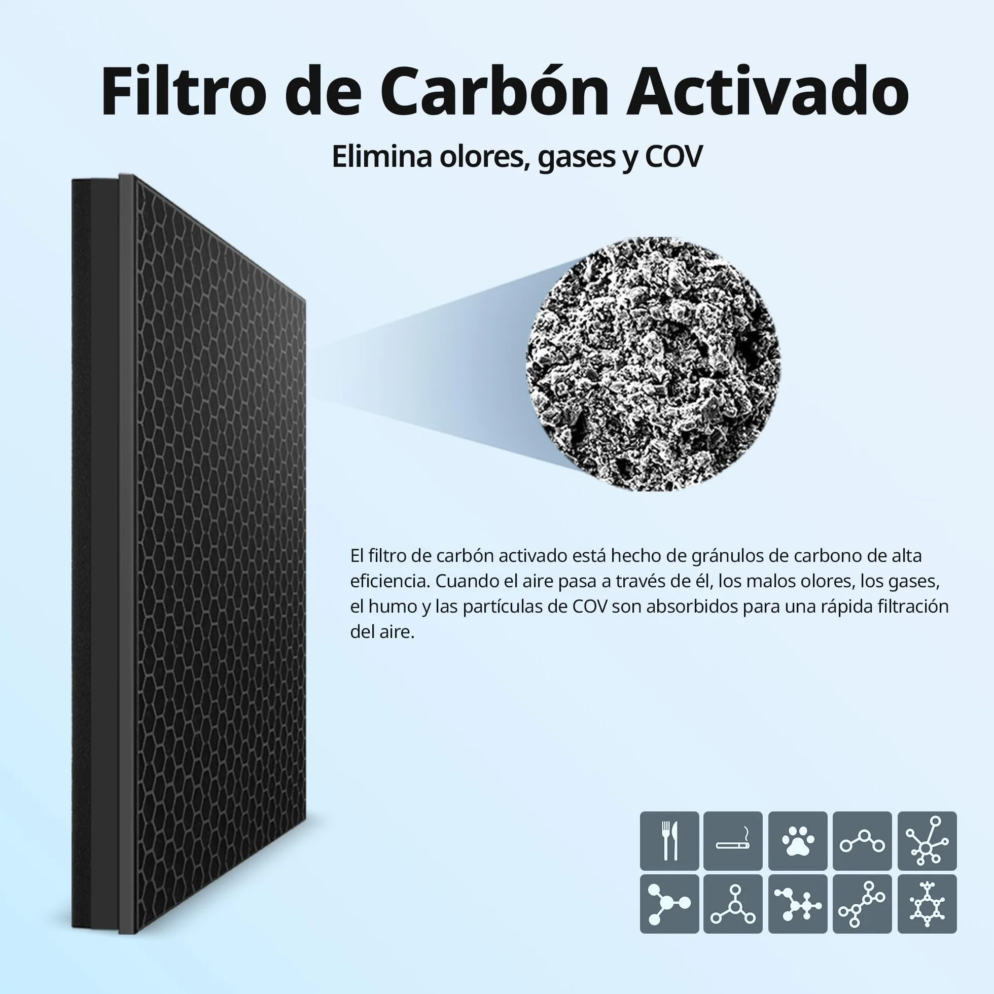 Coway Airmega 150 AP-1019C GreenHEPA™ HEPA Filter Set