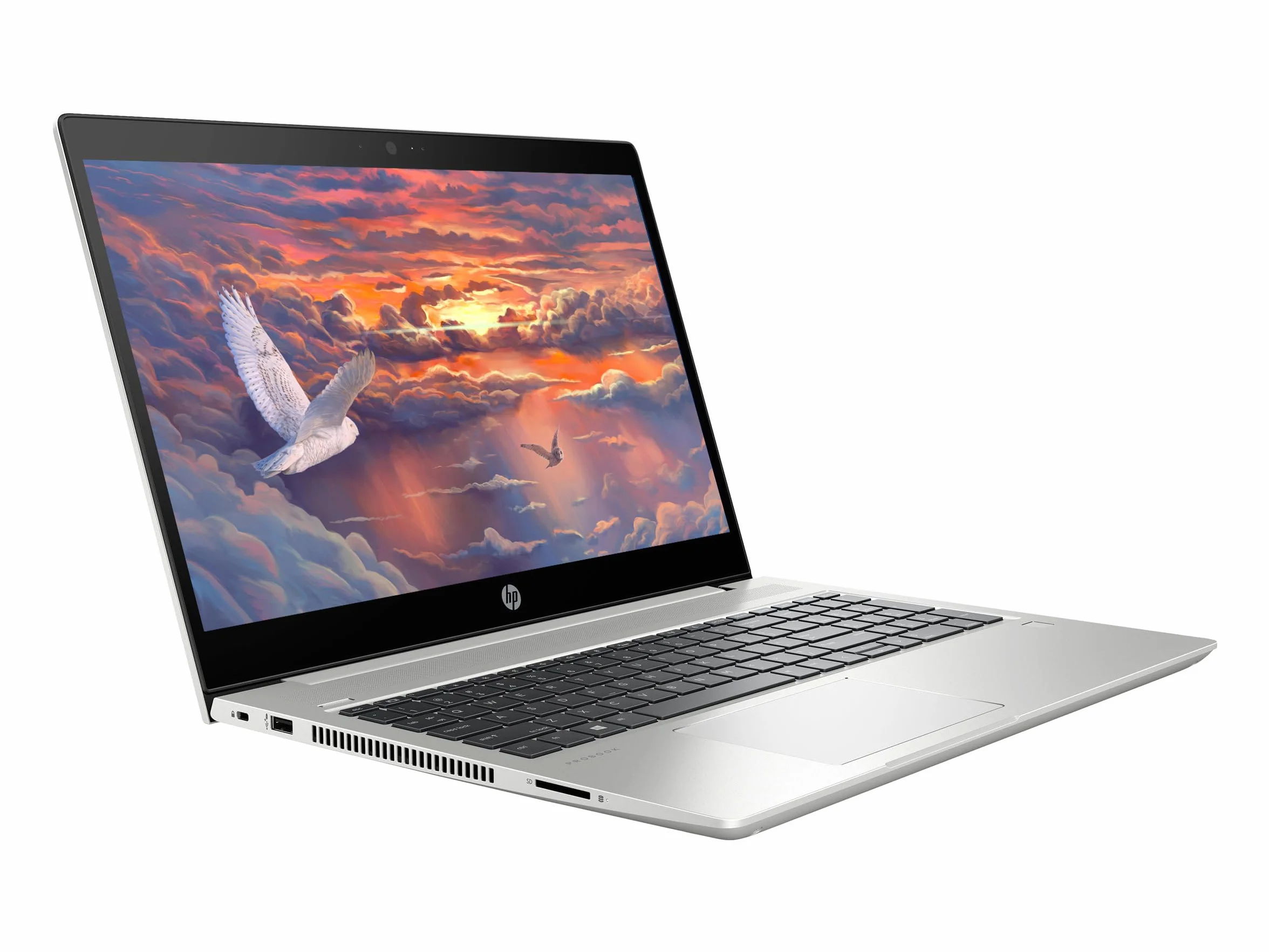 HP ProBook 450 G6 Laptop 15,6" FHD Intel Core i5-8265U 8GB RAM 256GB SSD Teclado Japonés QWERTY Windows 11 Pro Reacondicionado