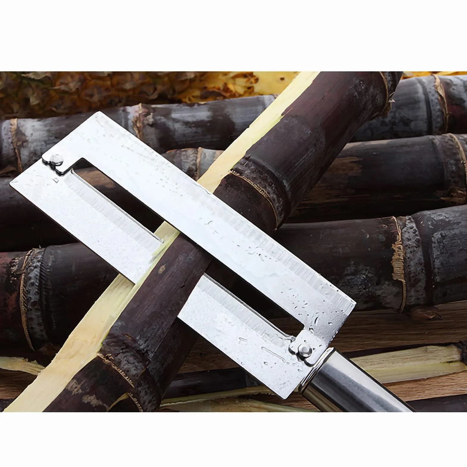 Cuchillo de Acero Inoxidable, Doble Cara, Pelado de Frutas, Cuchillo de Caña de Azúcar