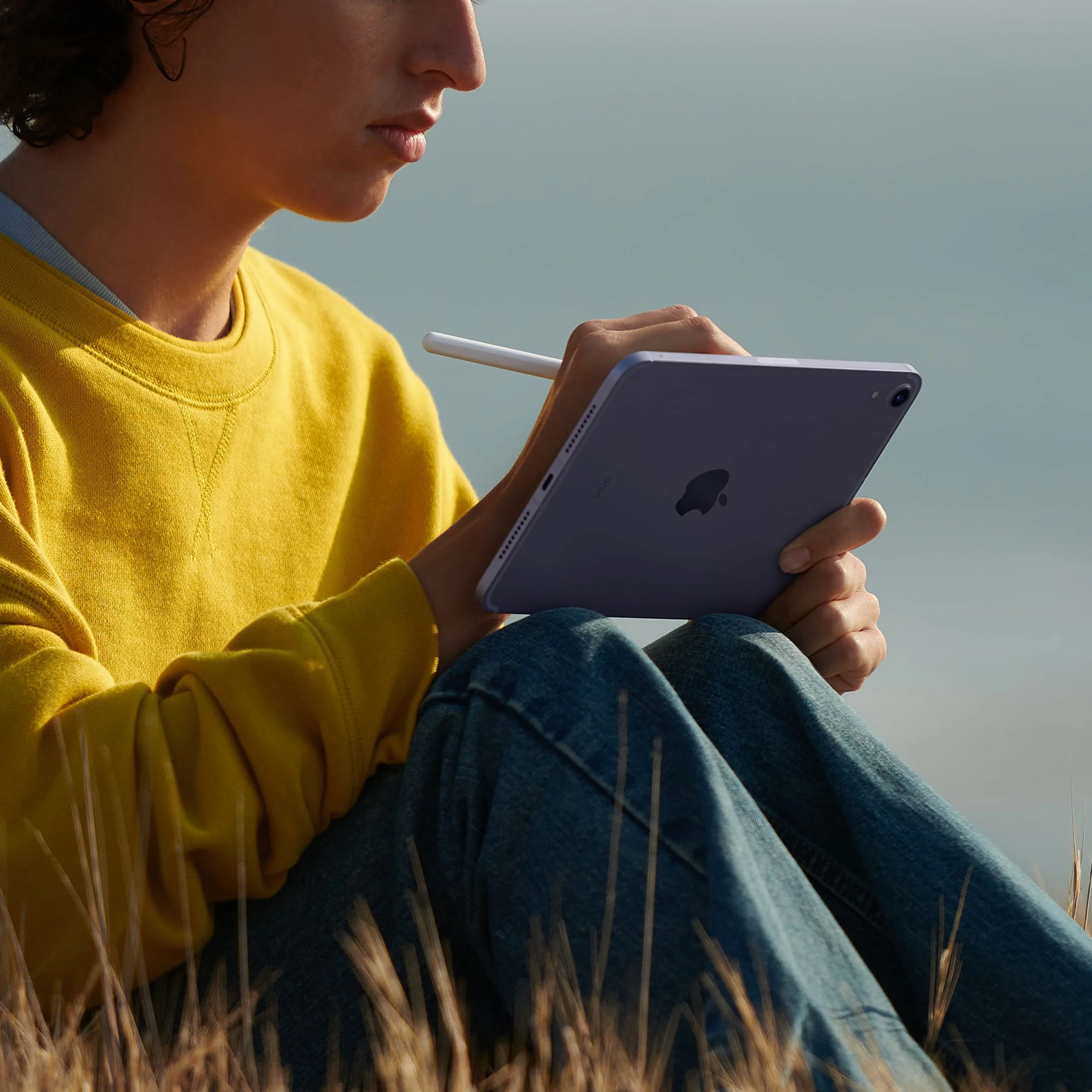2021 Apple iPad Mini (8,3-pulgadas, Wi-Fi + Celular, 64GB) - Gris Espacial (Reacondicionado)