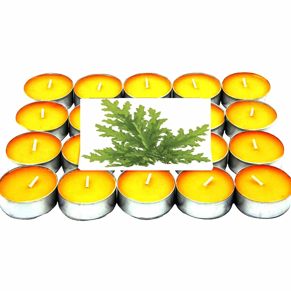 Vela de Téalights Aromáticas con perfumadas citronela 120velas ( PLUS HOME )