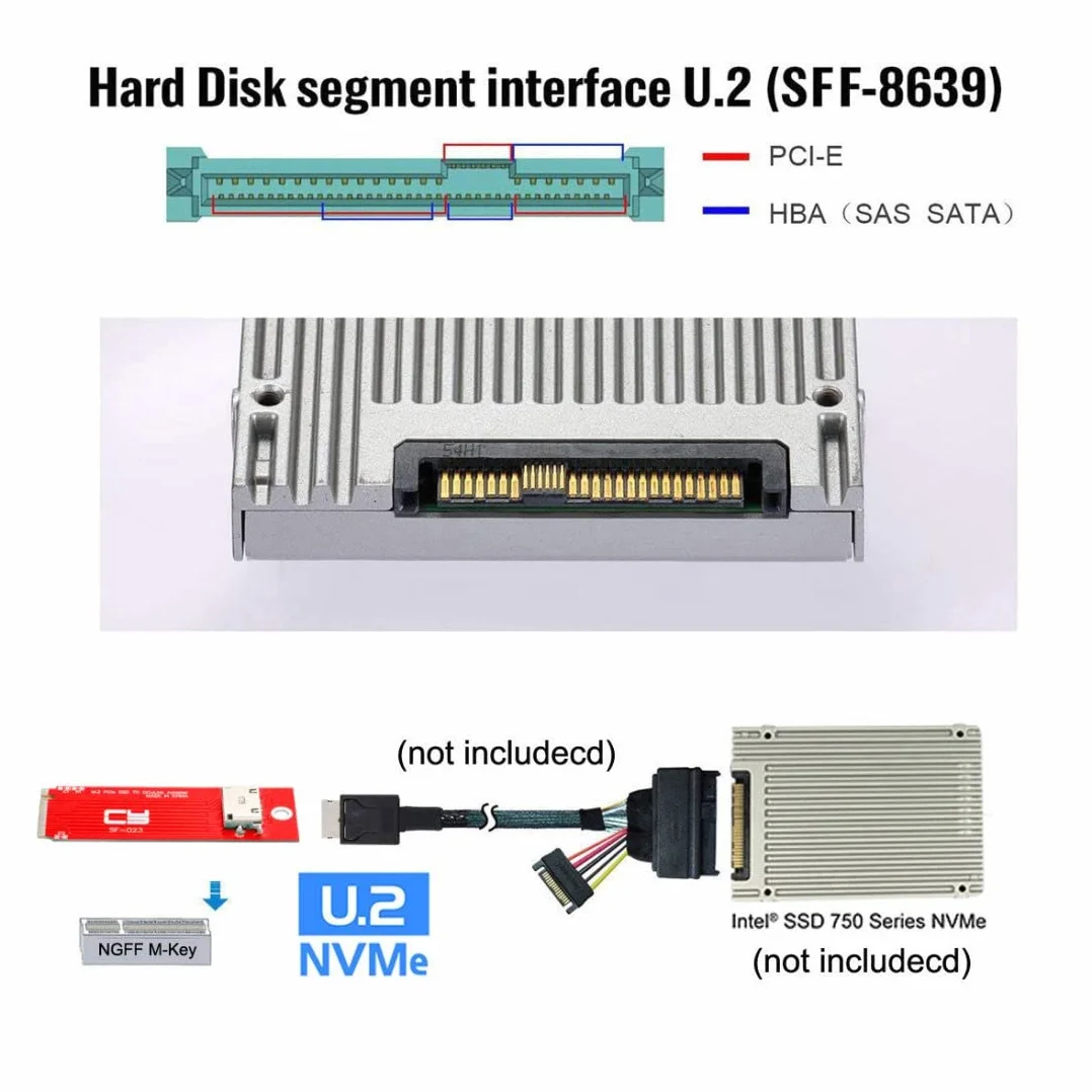 chenyang Oculink SFF-8612/8611 a PCI-E 4.0 NVME M.2 M-Key - Adaptador de host compatible con 2230/2260 mm para U.2 SSD y eGPU
