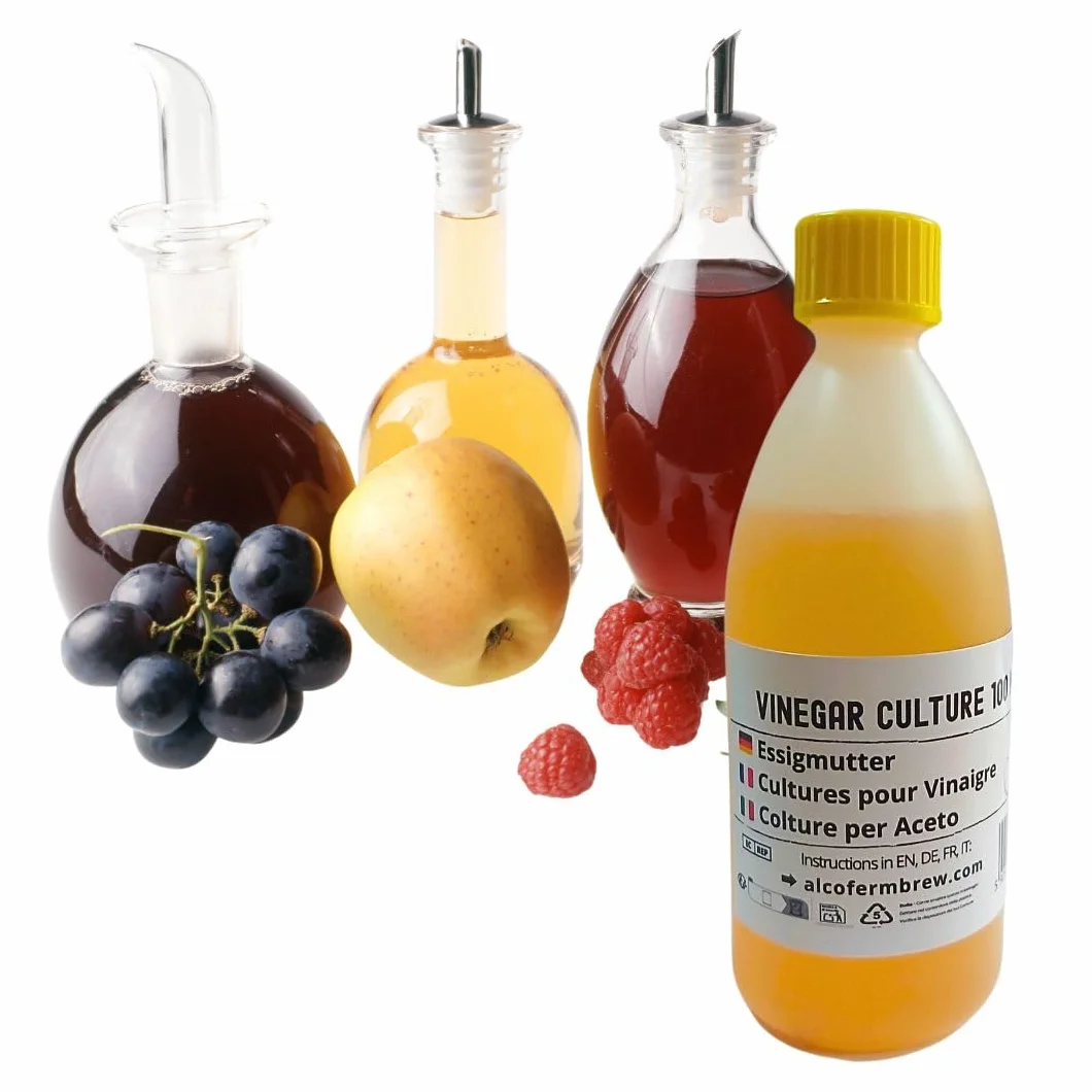 Madre de Vinagre 100 ml | Acetobacter Starter para Fermentación de Vinagre Casero