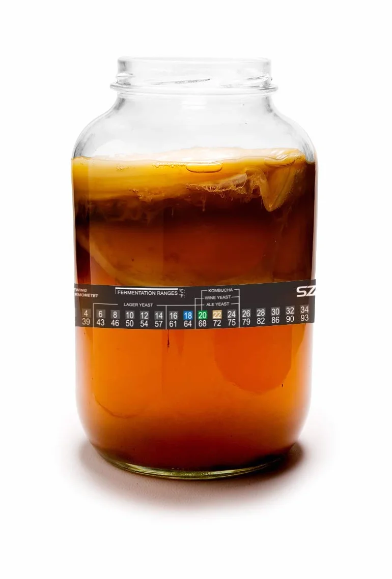 Termómetro para cerveza casera 2-36°C Vino