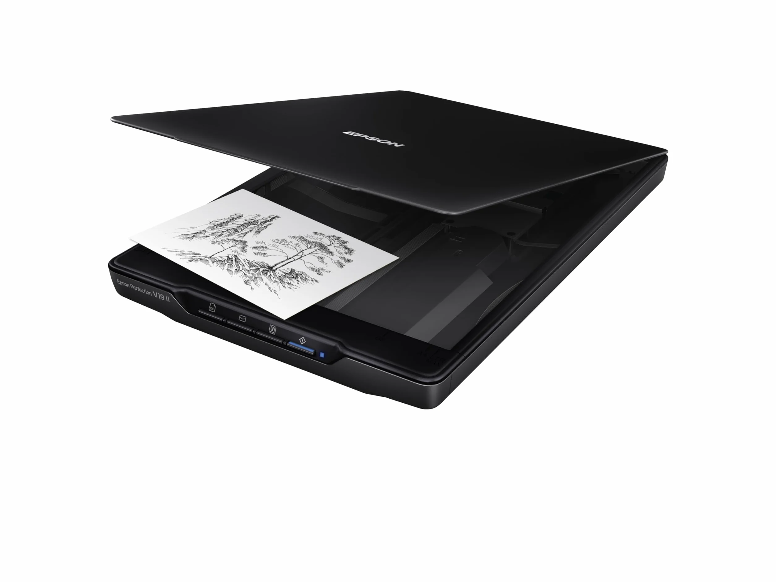 Epson Perfection V19 II Escáner Plano 4800 PPP USB