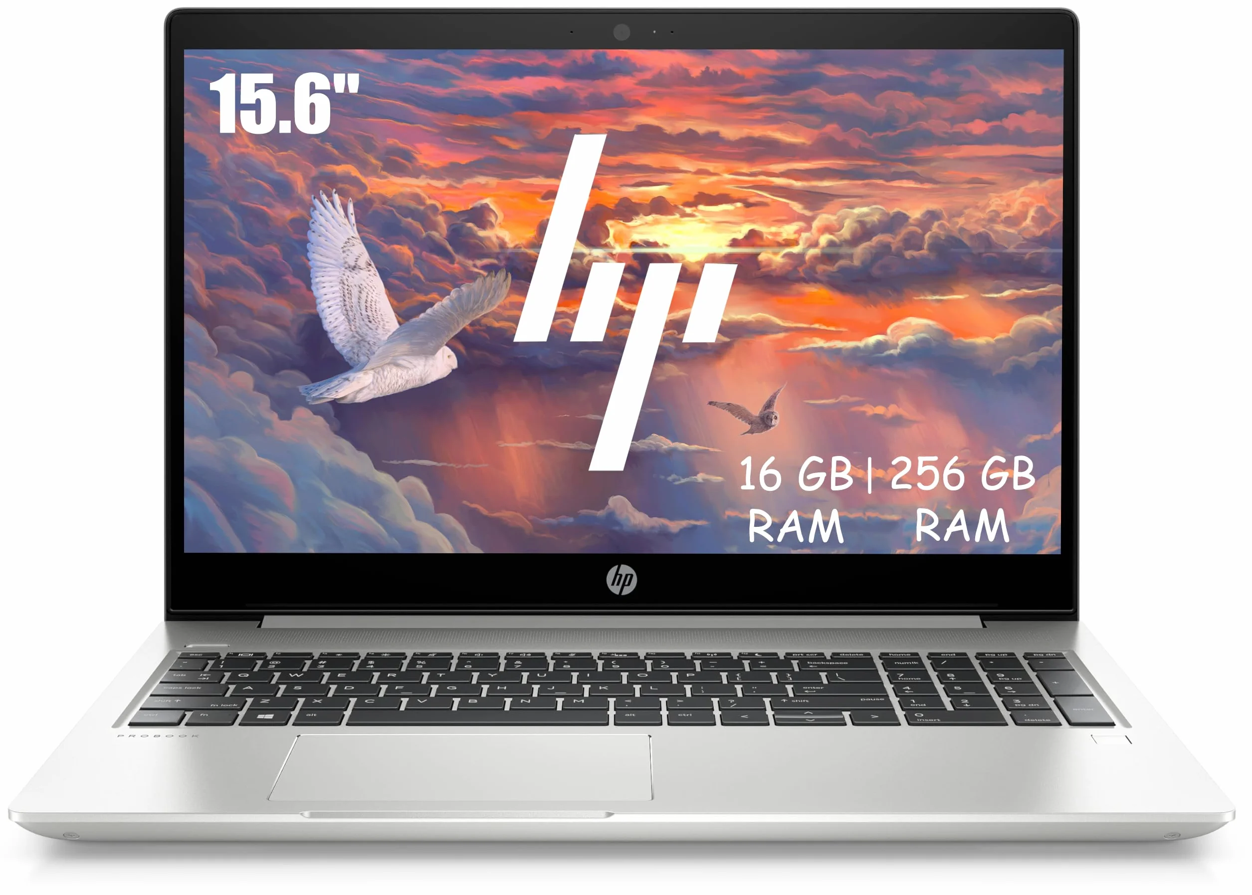HP ProBook 450 G6 - Ordenador portátil profesional, 15,6 pulgadas FHD (1920 x 1080), Intel Core i5-8265U, 16 GB de RAM, SSD de 256 GB, teclado japonés QWERTY, Windows 11 Pro (reacondicionado)
